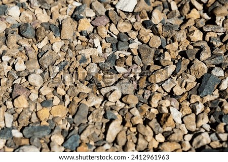 Smooth background with a texture of different sizes of pebbles. Pebble beach. Close-up.