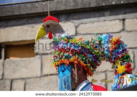 Galos de San Pedro: the traditional costume of the carnival of A Mezquita in Ourense, Galicia. Spain Royalty-Free Stock Photo #2412973085
