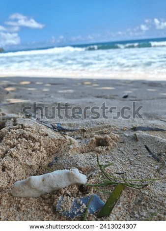 A picture of white coral, blue coral and grass on the beach