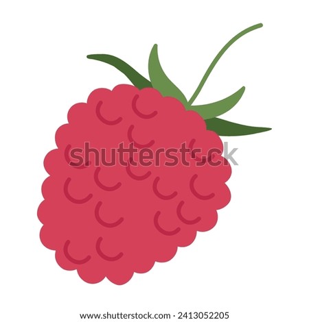 Red raspberry. Hand drawn juicy forest raspberry, fresh edible red berry for healthy nutrition flat vector illustration. Delicious raspberry on white background