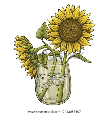 Sunflower illustration in Vintage Style
