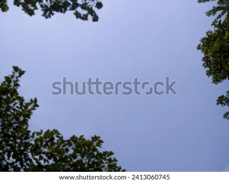 Blue sky photo with tree branches