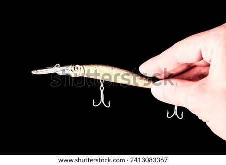 Picture of a Classic Fishing Lure for Predators