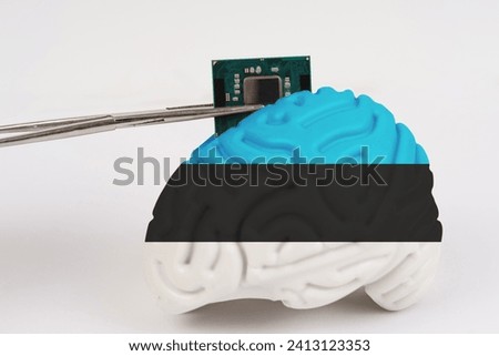 On a white background, a model of the brain with a picture of a flag - Estonia, a microcircuit, a processor, is implanted into it. Close-up