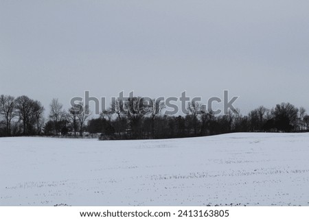 Winter field with trees in the background. 