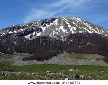 The northern slope of Monte Pollino (2248 m) seen climbing from Piano di Toscano. Pollino National Park.

 Royalty-Free Stock Photo #2413167881