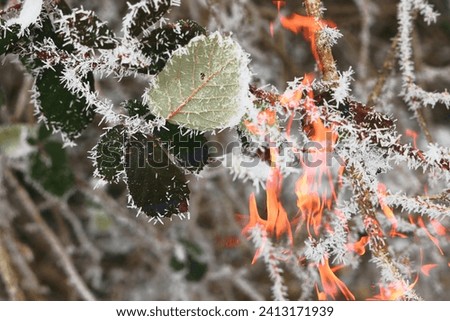 fire, abstract motifs with fire, flames, fantasy motifs with bright fire, red flames, abstraction, background, flames, sparks