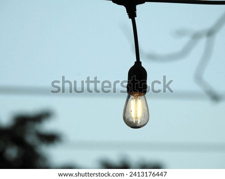 Rustic light bulb, captured in a vertical photo.