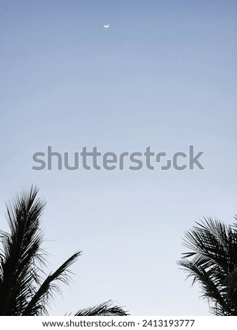 Blue sky surrounding the crescent moon, with the soft silhouette of palm trees.