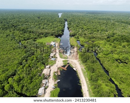 Beautiful view of Air Swamp River Crossing Bridge in Coconut Plantation, Mangrove Forest