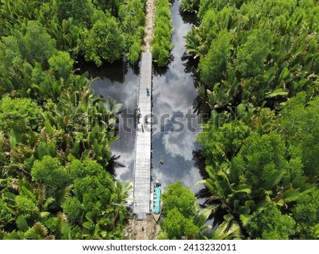 View of the bridge with a mangrove forest in the background

