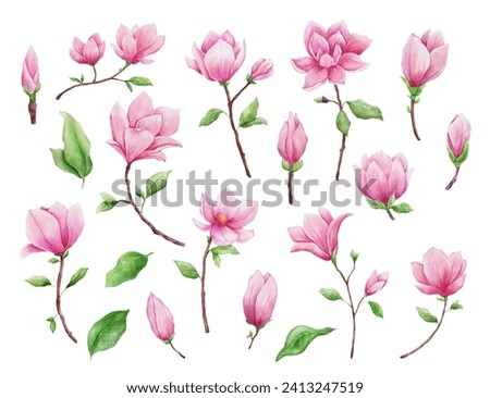 Watercolor magnolia isolated on white background. Hand drawn pink flower for greeting cards, invitations. Botanical hand painted illustrations set