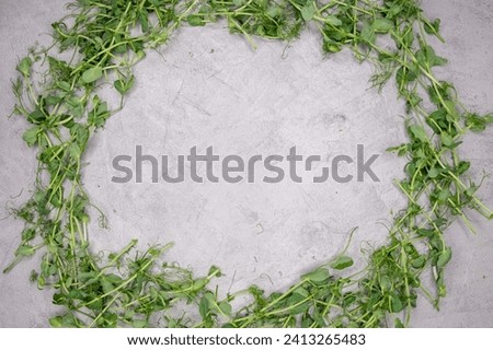 Delicately arranged in a wreath-like pattern, these vibrant microgreens epitomize the essence of urban agriculture and modern culinary trends. This image is perfect for themes of healthy lifestyles Royalty-Free Stock Photo #2413265483