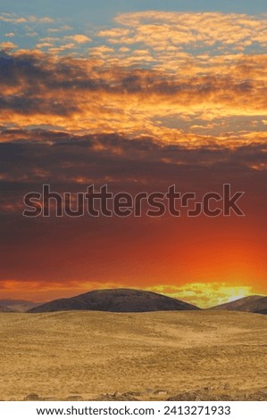 Steppe, prairie, plain, pampa. As the day gracefully retreats, the sun's final glow showers the tranquil prairie with a beaming display of warmth and dreams. Sunset Bliss, Dreamy