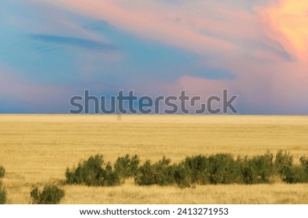 Steppe, prairie, In the fading light of day, the sunset paints a bittersweet picture, as if nature itself is mourning the fading warmth and whispering secrets to the endless sands of the desert.