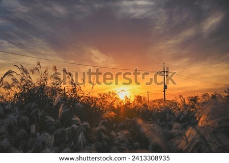 sunset picture in korea at fall
