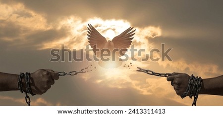 chains on hand that transform into peace birds. freedom and charge concept
