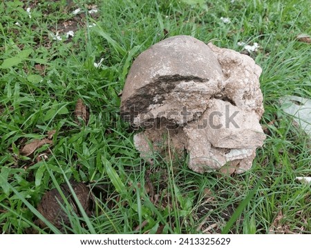 a stone among the grass when it is cloudy in a village in Lampung