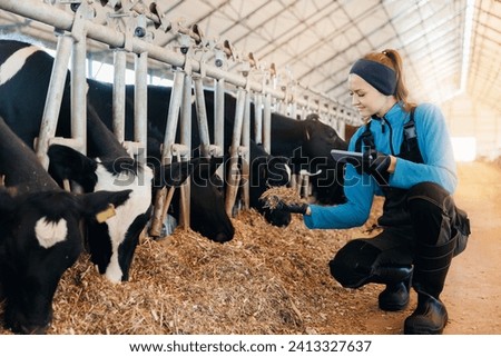 Control quality of hay for feeding cows, farmer worker uses smartphone check nutrition for health care of cattle. Concept agriculture industry farming. Royalty-Free Stock Photo #2413327637