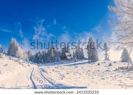 Beautiful winter landscape. Mountain road covered with snow and ice