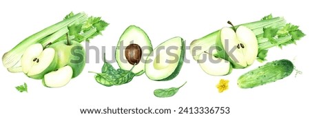 A set of compositions with green apple, cucumber, spinach, avocado and aromatic vegetable celery. Hand drawn botanical watercolor illustration isolated on white background. For clip art cards menu