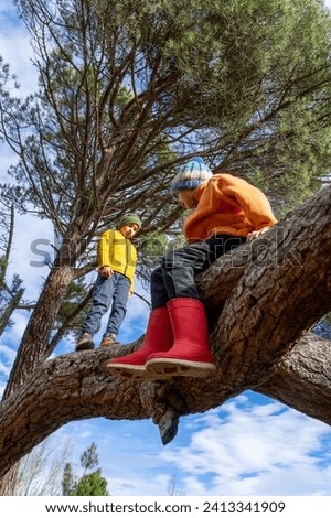 Children climbing a tree trunk in a pine forest wearing winter clothes