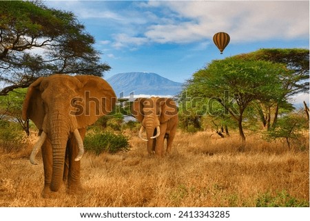 Elephants and Mount Kilimanjaro in Amboseli National Park 