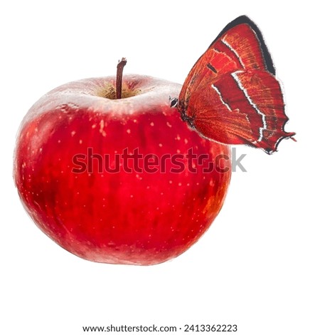 A butterfly on Red Apple 