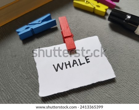 Whale writting on gray background.