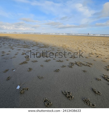 Beach sand balls along Papar beach in Sabah Royalty-Free Stock Photo #2413438633