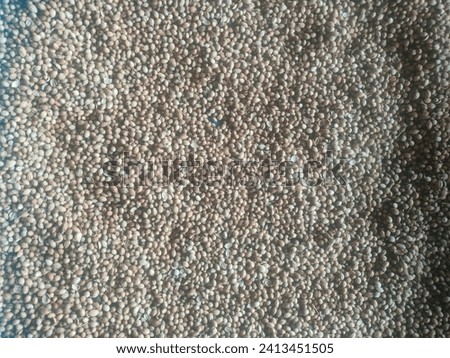 A heap of dried Coriander seeds(Cilantro or Dhania or Dhaniya or Malli or Coriandrum Sativum) spread over hd stock image.Belongs to Apiaceae family, used a spice and herb.Top view.Hd stock image photo
