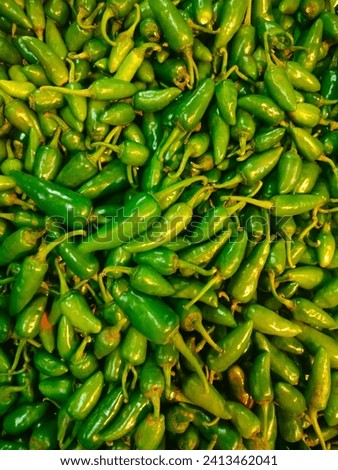 A basket of fresh stunning green chillies(Pachamulaku or Mirchi or capsicum frutescens) spread over in the vegetable market, ready for sale.Hd stock image or photo in jpg format, top ankle view.