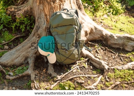 Travel camping backpack or military hunting bag with sticks leaning against a tree on the forest floor. Travel, hiking and camping concept, copy space for text. High quality photo