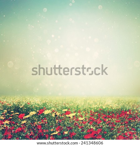 abstract photo of wild flower field and bright bokeh lights. cross proccess effect