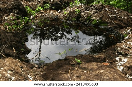 natural depressions in the limestone so it looks like a small pond. It can be used as a place for wildlife to drink and for birds to play in the water or bathe Royalty-Free Stock Photo #2413495603
