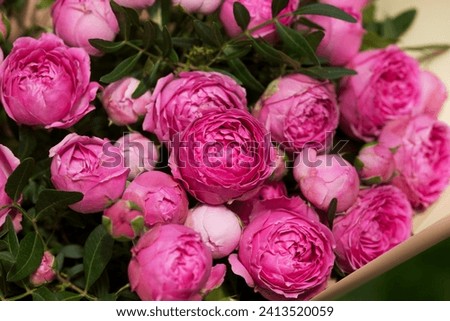 A close-up of a beautiful bouquet of pink peony roses and eucalyptus leaves. Full frame.
