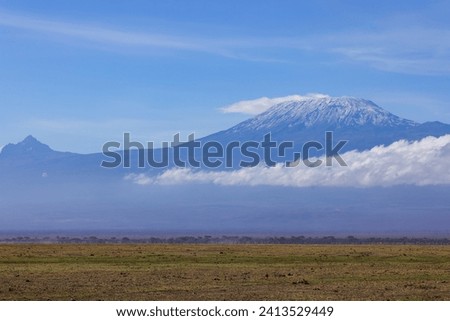 african savannah with mount kilimanjaro in background