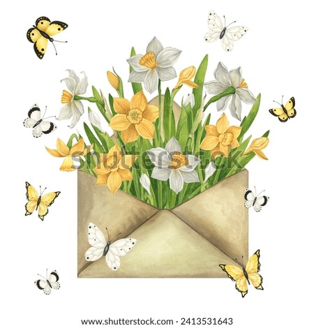Daffodils in an envelope, flying butterflies, flower arrangement. Spring watercolor vintage illustration on white background. Easter greeting card