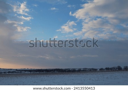 A snowy landscape with trees and blue sky
