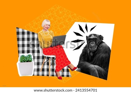 Photo image picture collage sitting old granny woman browsing internet laptop looking amazed chimpanzee monkey yellow background