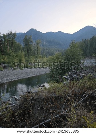 A picture from washington olympic national park.
