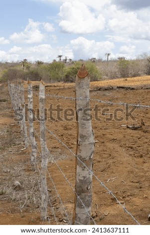 close up view of a fence near land for planting