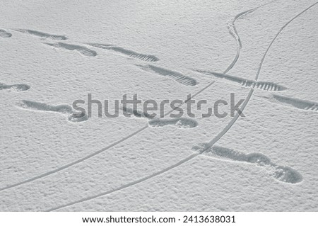Footprints in the snow. Sunny day. Traces of people and tracks from skates. Close-up. Selective focus.