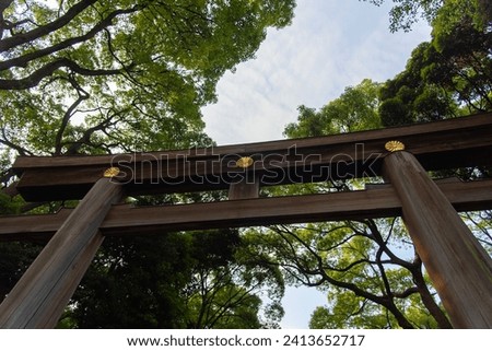 Torii gate and trees at Meiji Jingu Shrine with blue sky in the background