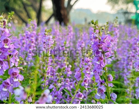 a variety of flowers a flower garden a bundle of wood Fruit.a bright colorBackground