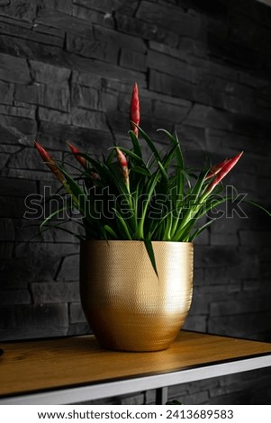 The picture shows a collection of indoor plants placed on a windowsill, creating a vibrant green display that brings life and freshness to the room.
