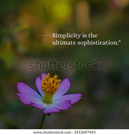 Inspirational and motivational quotes. Simplicity is the ultimate sophistication.
