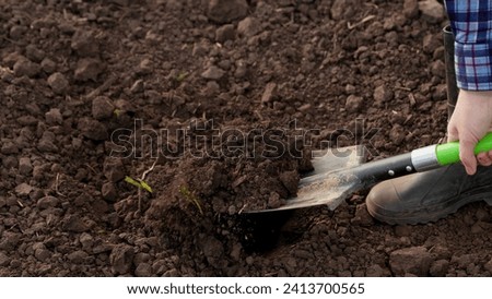 Farmer, gardener, man, woman in rubber boots dig earth with shovel in garden, in field, on farm. Concept of organic farming. Farmer dig soil in garden with shovel, digs grass with a shovel. Gardening Royalty-Free Stock Photo #2413700565