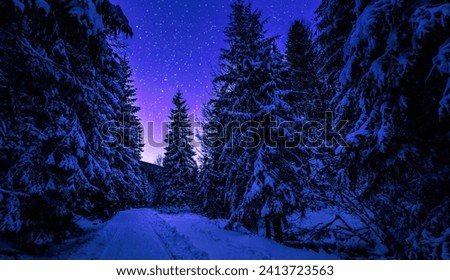Starry night over snowy path amidst the silent forest.