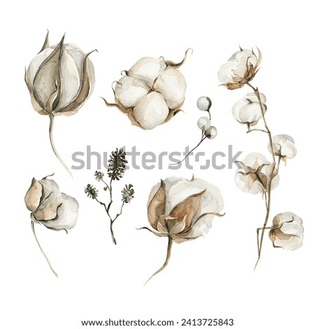 Watercolor floral beige set. Hand painted tree branches, berries, cotton flowers, forest leaves, cones isolated on white background. Floral brown botanical clip art for design or print